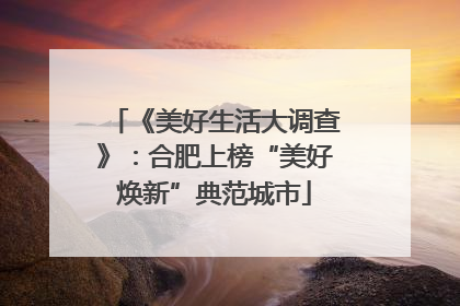 《美好生活大调查》：合肥上榜“美好焕新”典范城市