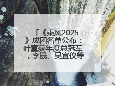 《乘风2025》成团名单公布：叶童获年度总冠军，李晟、吴宣仪等10位姐姐成功成团，陈德容获年度高光人物