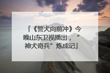 《警犬向前冲》今晚山东卫视播出，“神犬奇兵”炼成记