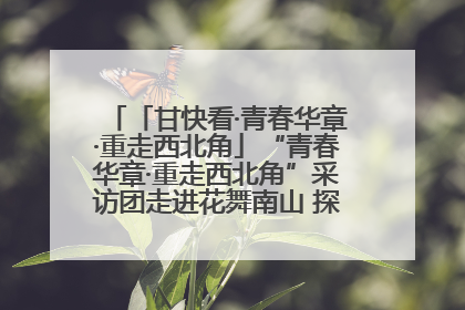 「甘快看·青春华章·重走西北角」“青春华章·重走西北角”采访团走进花舞南山 探寻天水乡村振兴之路