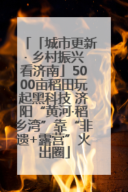 「城市更新· 乡村振兴看济南」5000亩稻田玩起黑科技 济阳“黄河·稻乡湾”靠“非遗+露营”火出圈