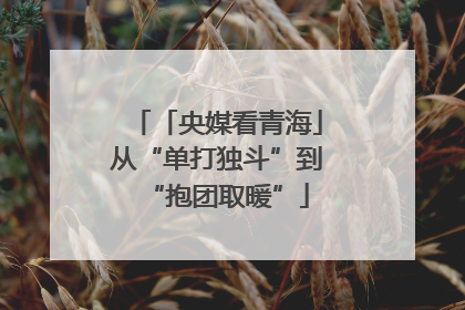 「央媒看青海」从“单打独斗”到“抱团取暖”