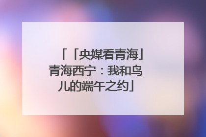 「央媒看青海」青海西宁：我和鸟儿的端午之约