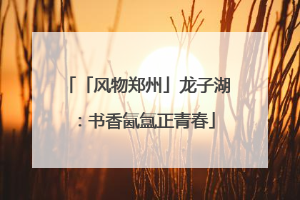 「风物郑州」龙子湖：书香氤氲正青春