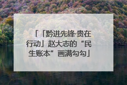 「黔进先锋·贵在行动」赵大志的“民生账本”画满勾勾