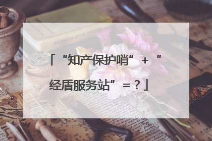 “知产保护哨”+“经盾服务站”=？