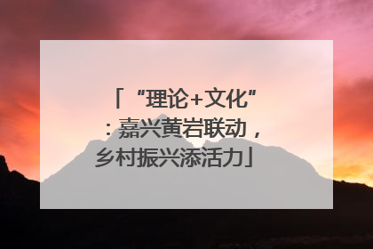 “理论+文化”：嘉兴黄岩联动，乡村振兴添活力