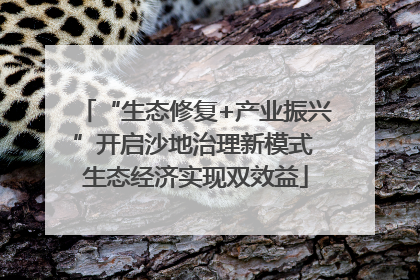 “生态修复+产业振兴”开启沙地治理新模式 生态经济实现双效益