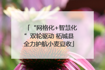“网格化+智慧化”双轮驱动 柘城县全力护航小麦夏收