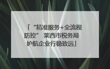 “精准服务+全流程防控” 莱西市税务局护航企业行稳致远