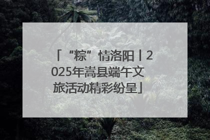 “粽”情洛阳丨2025年嵩县端午文旅活动精彩纷呈