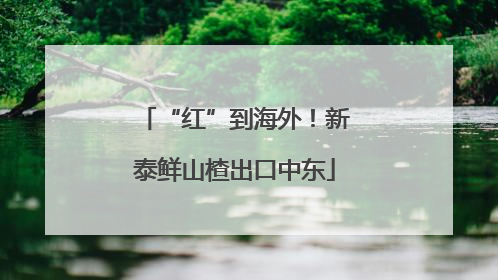 “红”到海外！新泰鲜山楂出口中东
