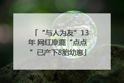 “与人为友”13年 网红麋鹿“点点”已产下8胎幼崽