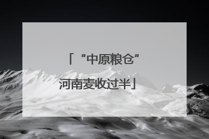 “中原粮仓”河南麦收过半