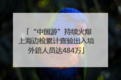“中国游”持续火爆 上海边检累计查验出入境外籍人员达484万