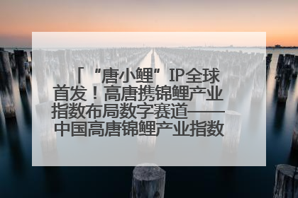 “唐小鲤”IP全球首发！高唐携锦鲤产业指数布局数字赛道——中国高唐锦鲤产业指数暨“唐小鲤”IP全球首发仪式在杭州举行