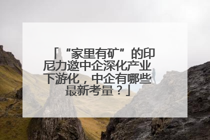 “家里有矿”的印尼力邀中企深化产业下游化，中企有哪些最新考量？