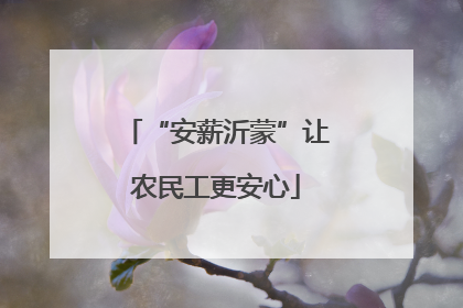 “安薪沂蒙”让农民工更安心