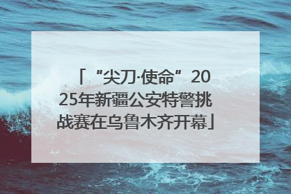 “尖刀·使命”2025年新疆公安特警挑战赛在乌鲁木齐开幕