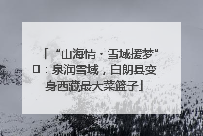 “山海情・雪域援梦”⑪:泉润雪域,白朗县变身西藏最大菜篮子