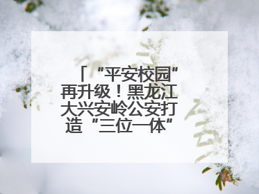 “平安校园”再升级！黑龙江大兴安岭公安打造“三位一体”守护新模式