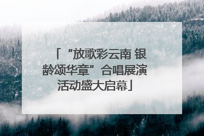 “放歌彩云南 银龄颂华章”合唱展演活动盛大启幕