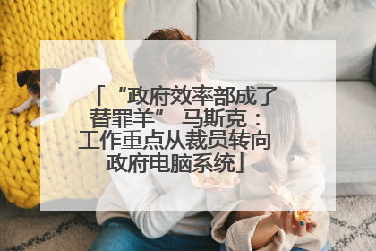 “政府效率部成了替罪羊” 马斯克：工作重点从裁员转向政府电脑系统