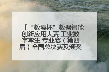 “数境杯”数据智能创新应用大赛·工业数字孪生 专业赛（第四届）全国总决赛及颁奖典礼成功举办