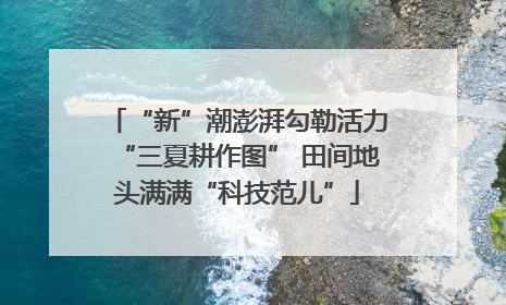 “新”潮澎湃勾勒活力“三夏耕作图” 田间地头满满“科技范儿”