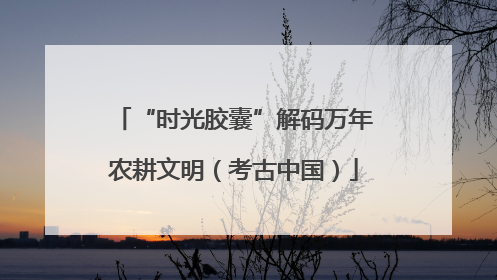 “时光胶囊”解码万年农耕文明（考古中国）