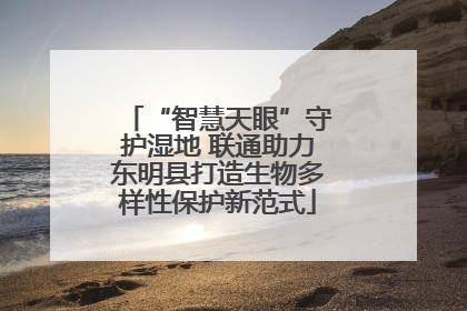 “智慧天眼”守护湿地 联通助力东明县打造生物多样性保护新范式
