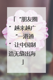 “朋友圈”越来越广 “一港通”让中国制造无缝出海