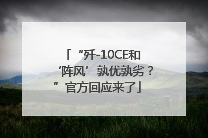 “歼-10CE和‘阵风’孰优孰劣？”官方回应来了