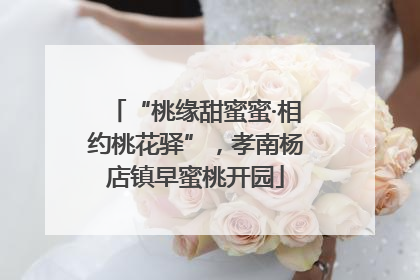 “桃缘甜蜜蜜·相约桃花驿”，孝南杨店镇早蜜桃开园