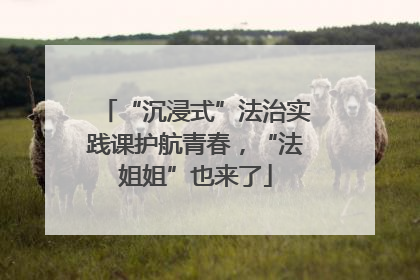 “沉浸式”法治实践课护航青春，“法姐姐”也来了