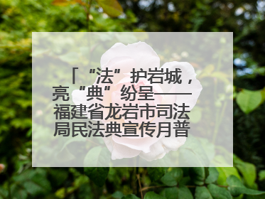 “法”护岩城，亮“典”纷呈——福建省龙岩市司法局民法典宣传月普法活动纪实