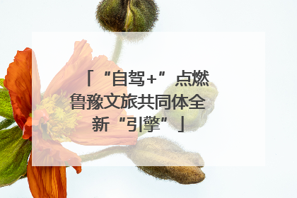 “自驾+”点燃鲁豫文旅共同体全新“引擎”