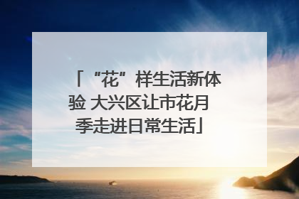 “花”样生活新体验 大兴区让市花月季走进日常生活