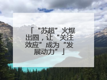 “苏超”火爆出圈，让“关注效应”成为“发展动力”