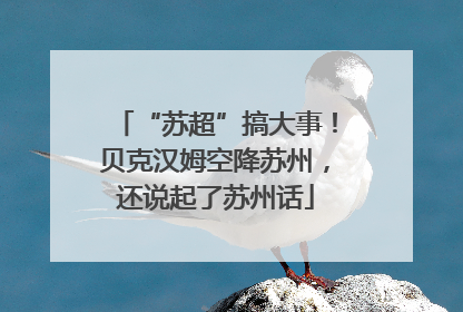 “苏超”搞大事！贝克汉姆空降苏州，还说起了苏州话
