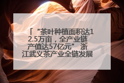 “茶叶种植面积达12.5万亩，全产业链产值达57亿元” 浙江武义茶产业全链发展“加速度”
