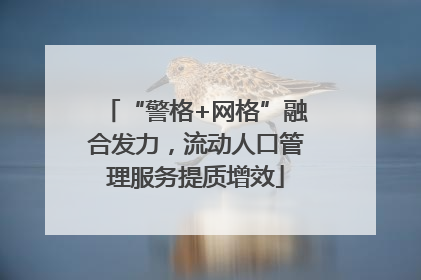 “警格+网格”融合发力，流动人口管理服务提质增效
