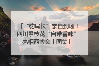 “豹局长”亲自到场！四川攀枝花“自带香味”亮相西博会丨图集