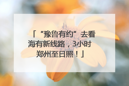 “豫鲁有约”去看海有新线路，3小时郑州至日照！