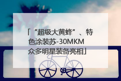“超级大黄蜂”、特色涂装苏-30MKM 众多明星装备亮相