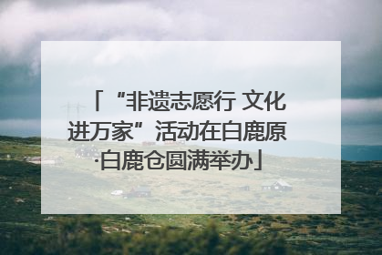 “非遗志愿行 文化进万家”活动在白鹿原·白鹿仓圆满举办