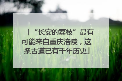 “长安的荔枝”最有可能来自重庆涪陵，这条古道已有千年历史