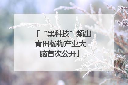 “黑科技”频出 青田杨梅产业大脑首次公开