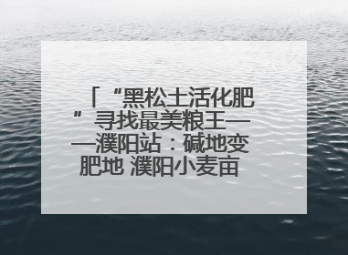 “黑松土活化肥”寻找最美粮王——濮阳站：碱地变肥地 濮阳小麦亩产1500多斤