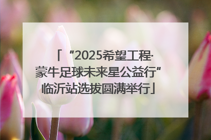 “2025希望工程·蒙牛足球未来星公益行”临沂站选拔圆满举行